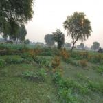 Vraj-Yatra-2014- (282)